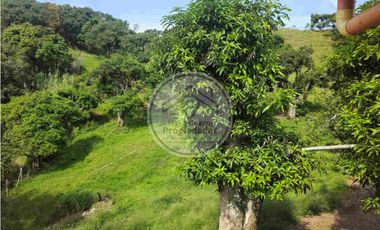 Venta de Finca en Santa Bárbara Antioquia - vereda Don Santos