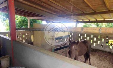 Venta de Finca en Santa Bárbara Antioquia - vereda Don Santos