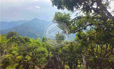 Venta de Finca en Santa Bárbara Antioquia - vereda Don Santos