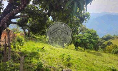 Venta de Finca en Santa Bárbara Antioquia - vereda Don Santos