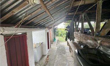 Se Vende Finca Sembrada En Aguacate Semil