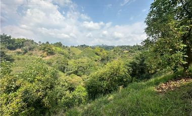 Se Vende Finca Sembrada En Aguacate Semil