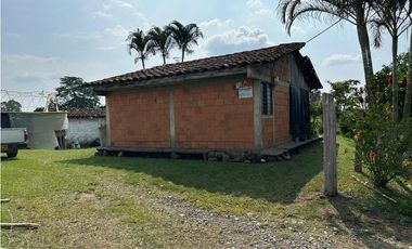 Se Vende Finca Sembrada En Aguacate Semil