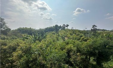 Se Vende Finca Sembrada En Aguacate Semil
