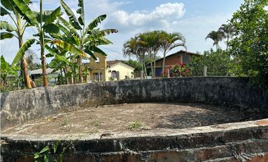 Se Vende Finca Sembrada En Aguacate Semil