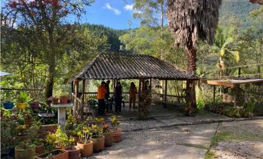 Se vende Finca en la Clara - Caldas Antioquia
