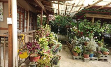 Se vende Finca en la Clara - Caldas Antioquia