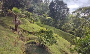 Se vende Finca en la Clara - Caldas Antioquia