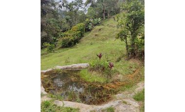 Se vende Finca en la Clara - Caldas Antioquia