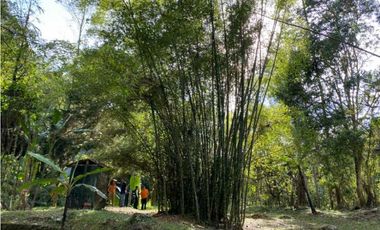 Se vende Finca en la Clara - Caldas Antioquia