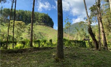 Se vende Finca en la Clara - Caldas Antioquia