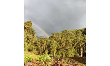 Se vende Finca en la Clara - Caldas Antioquia