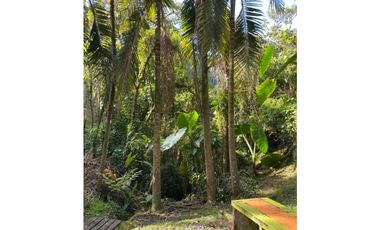 Se vende Finca en la Clara - Caldas Antioquia