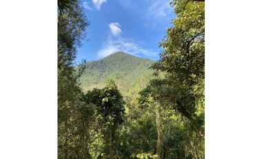 Se vende Finca en la Clara - Caldas Antioquia