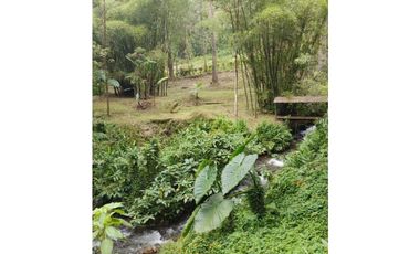 Se vende Finca en la Clara - Caldas Antioquia