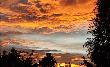 Se vende Finca en la Clara - Caldas Antioquia