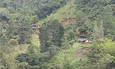 Se vende Finca en la Clara - Caldas Antioquia