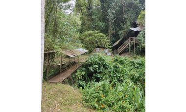 Se vende Finca en la Clara - Caldas Antioquia