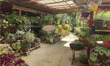 Se vende Finca en la Clara - Caldas Antioquia