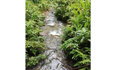 Se vende Finca en la Clara - Caldas Antioquia