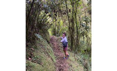Se vende Finca en la Clara - Caldas Antioquia