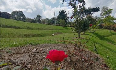 VENDO FINCA EN VEREDA EL CERRO-LLANO GRANDE