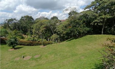 VENDO FINCA EN VEREDA EL CERRO-LLANO GRANDE
