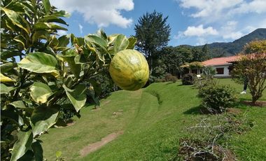 VENDO FINCA EN VEREDA EL CERRO-LLANO GRANDE