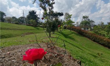 VENDO FINCA EN VEREDA EL CERRO-LLANO GRANDE