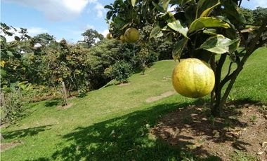 VENDO FINCA EN VEREDA EL CERRO-LLANO GRANDE