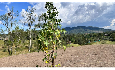 VENTA LOTE EL RETIRO