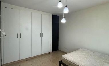Se Alquila excelente Terreno con casa de Dos Pisos en Calle 50. (AA)
