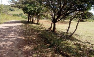 Se vende terreno ubicado en Las Lajas de Chame. (JA)