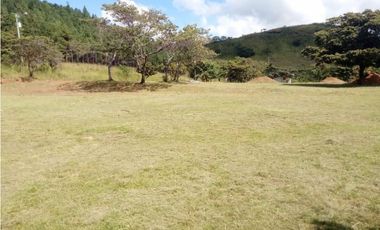Se vende terreno ubicado en Las Lajas de Chame. (JA)