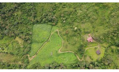 Se vende finca de 31 hectáreas en zona alta de Pradera Valle Colombia