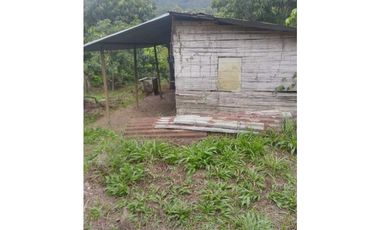 Lote en Guasimal-Tena con servicios públicos