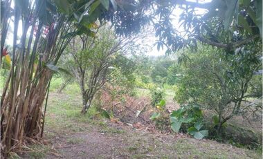 Lote en Guasimal-Tena con servicios públicos