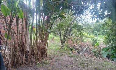 Lote en Guasimal-Tena con servicios públicos