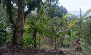 Lote en Guasimal-Tena con servicios públicos