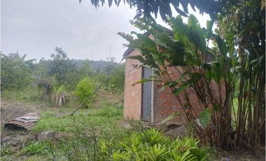 Lote en Guasimal-Tena con servicios públicos