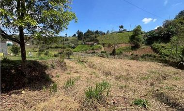 LOTE INDEPENDIENTE VA AEROPUERTO-AUTOPISTA