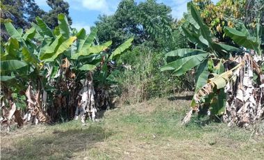 Lote semi urbano en venta en La Mesa Cundinamarca