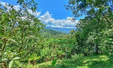 Maat vende finca en vereda Rio dulce-Villeta 6.400m2 $430 Millones
