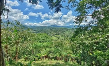 Maat vende finca en vereda Rio dulce-Villeta 6.400m2 $430 Millones