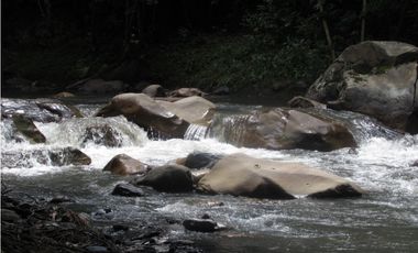 Maat vende finca en vereda Rio dulce-Villeta 6.400m2 $430 Millones