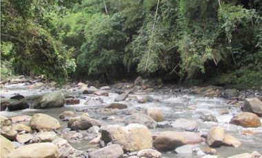 Maat vende finca en vereda Rio dulce-Villeta 6.400m2 $430 Millones