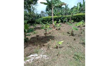 Venta finca de descanso Fredonia Antioquia