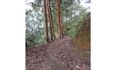 Venta finca de descanso Fredonia Antioquia