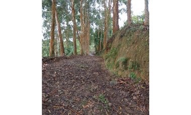 Venta finca de descanso Fredonia Antioquia