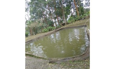 Venta finca de descanso Fredonia Antioquia